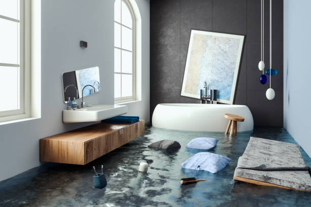 Best Water damage repair service  in Prairie Village, KS