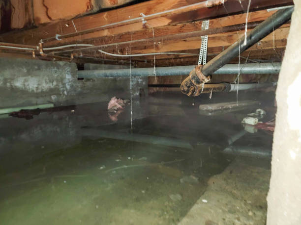 Best Fire Damage Restoration  in Prairie Village, KS