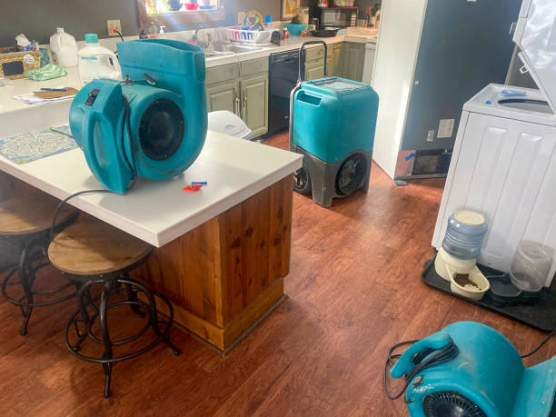 Best Water damage cleanup near me  in Prairie Village, KS