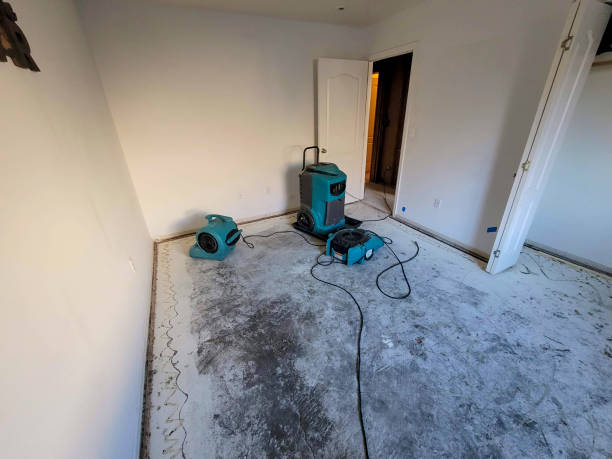 Best Carpet water damage restoration  in Prairie Village, KS