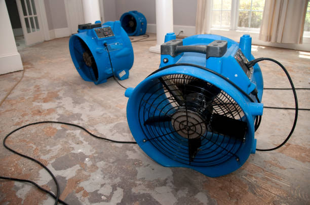 Best Basement water damage restoration  in Prairie Village, KS