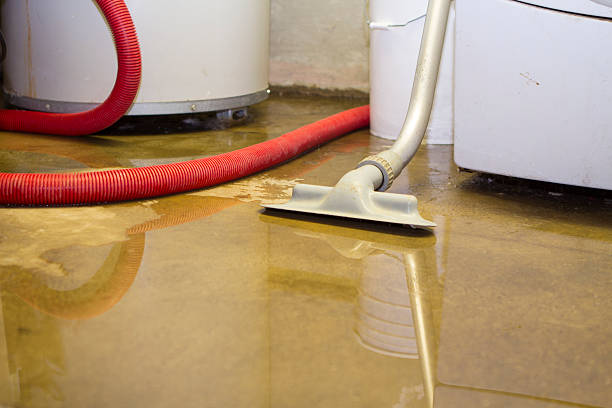 Best Water damage contractors near me  in Prairie Village, KS